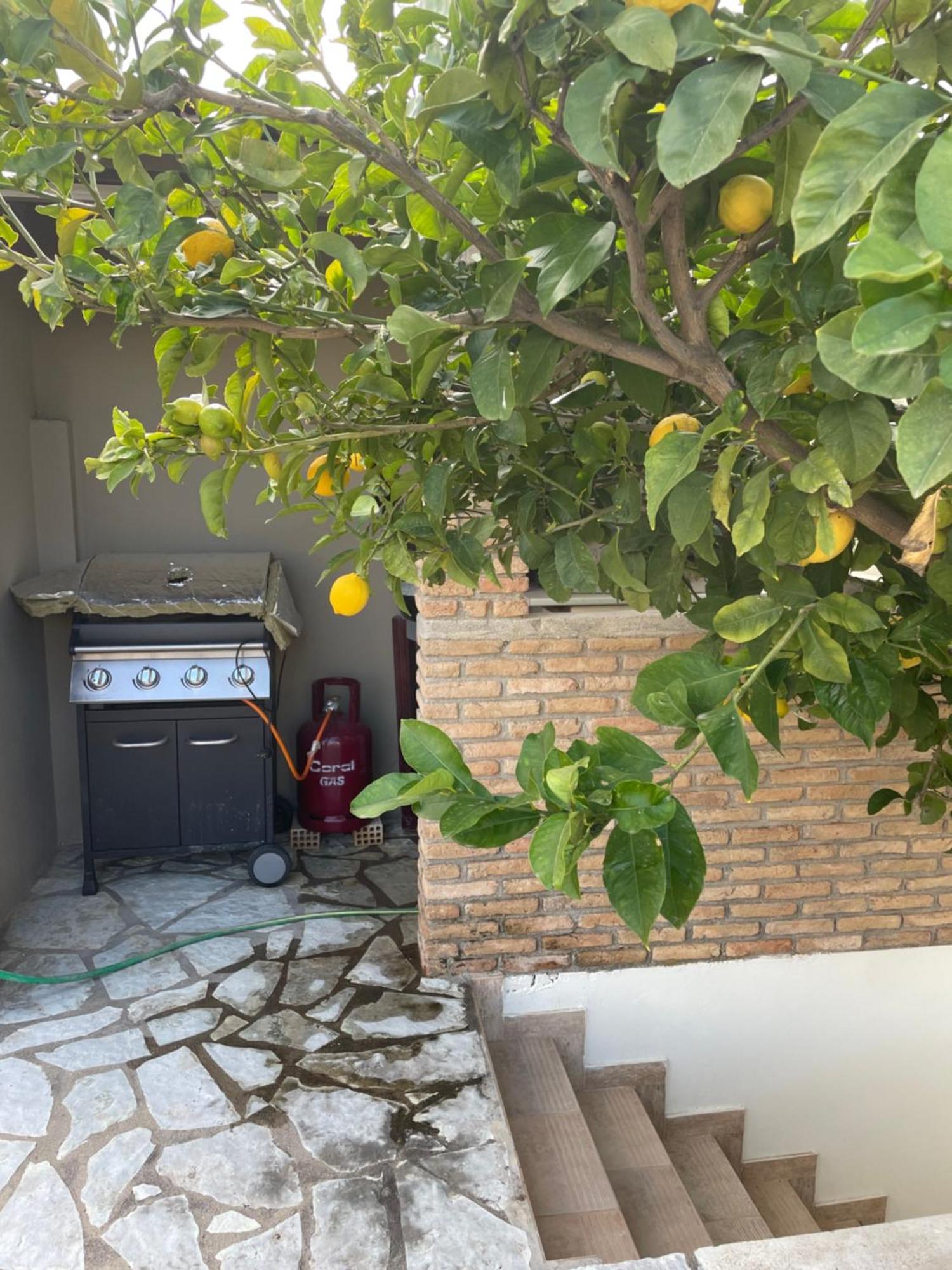 D&M Studio Ριο Πατρα Patras Extérieur photo